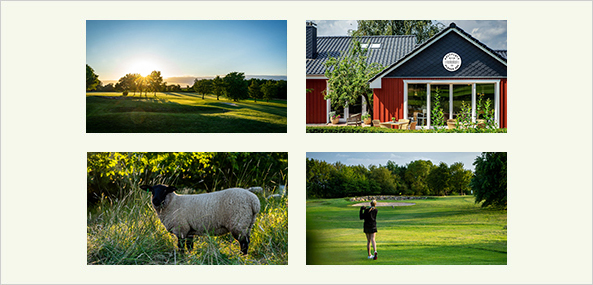 Golf Fernmitgliedschaft im Golfplatz Plöner See